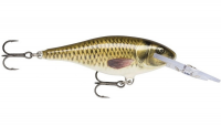 CARP