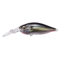 JUKUCHO SHAD