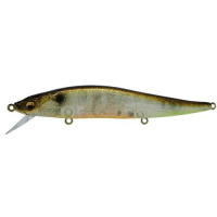 (SP-C) GLX Galaxy Shiner
