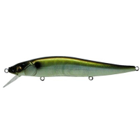 (SP-C) Hakusei Bluegill