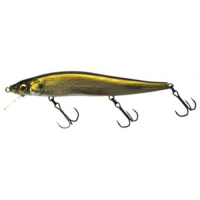 M Stardust Shad