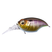 DD GILL