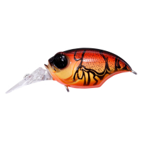 WILD CRAW