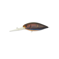J-Craw