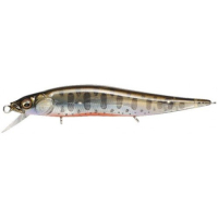 Baby Trout