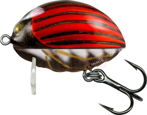 Воблер Salmo Lil ' Bug 30мм/4.3г
