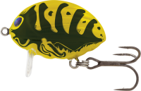 WSP