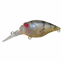 REDEYE GLASS SHRIMP