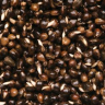 Конопля консервована Dynamite Baits 2.5л — фото 3