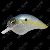 USA GP SEXY SHAD