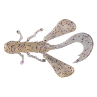 Clear Shrimp
