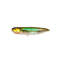 NC Stream Shad