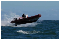 Лодочный мотор Mercury 225 L Optimax