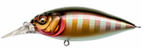 PM Gill