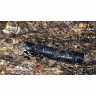 Фонарь Fenix LD01 Cree XP-E