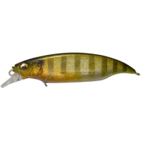 Galaxy Gill