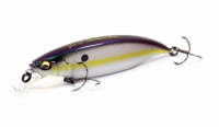 Sexy Shad