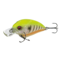PM HOT GILL II
