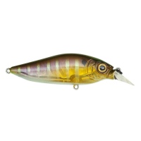 NC Gill