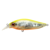 NC Hot Shad