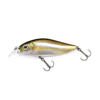 FA STRIPED SHINER