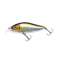 LIGHTNING SHAD