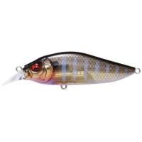 Al Evening Gill