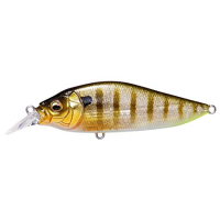 GLX Galaxy Gill