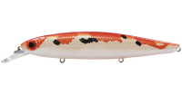 RED &amp; WHITE (KOI COLOR)