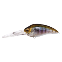 GILLKKO