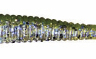 Силікон Jackall I Shad Tail 2.8"  — фото 7