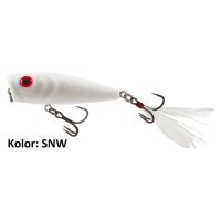 SNW