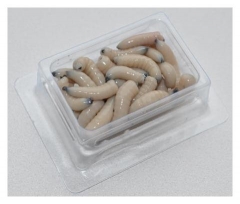 Білкова насадка Опариш