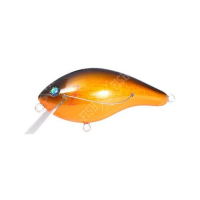 (Blue Label) Kinkuro