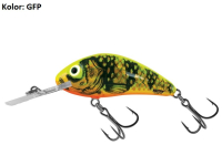 GFP