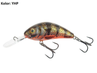 YHP