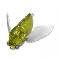 FF Avocado