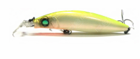Gataride PM Hot Shad
