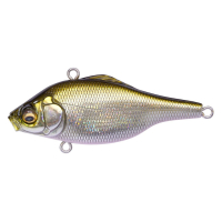 GG BRILLIANT SHAD