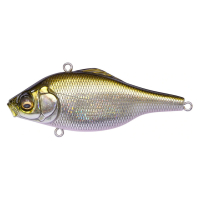 GG BRILLIANT SHAD
