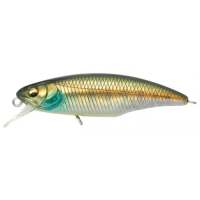 Wagin Amago