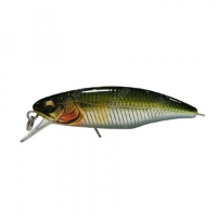 Wagin Ayu