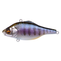 GILLKKO