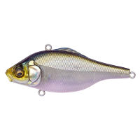 HT ITO TENNESSEE SHAD