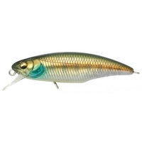 Wagin Amago