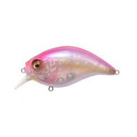 GP Coral Pink Back