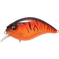 Tiger Craw