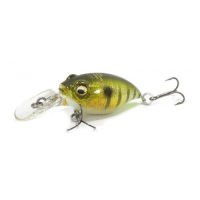 GLX Galaxy Gill