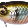 Воблер Megabass Griffon Bait Finesse MR-X 38мм /5.25г — фото 10