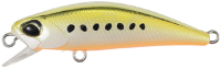 AST0333 Golden Sardine